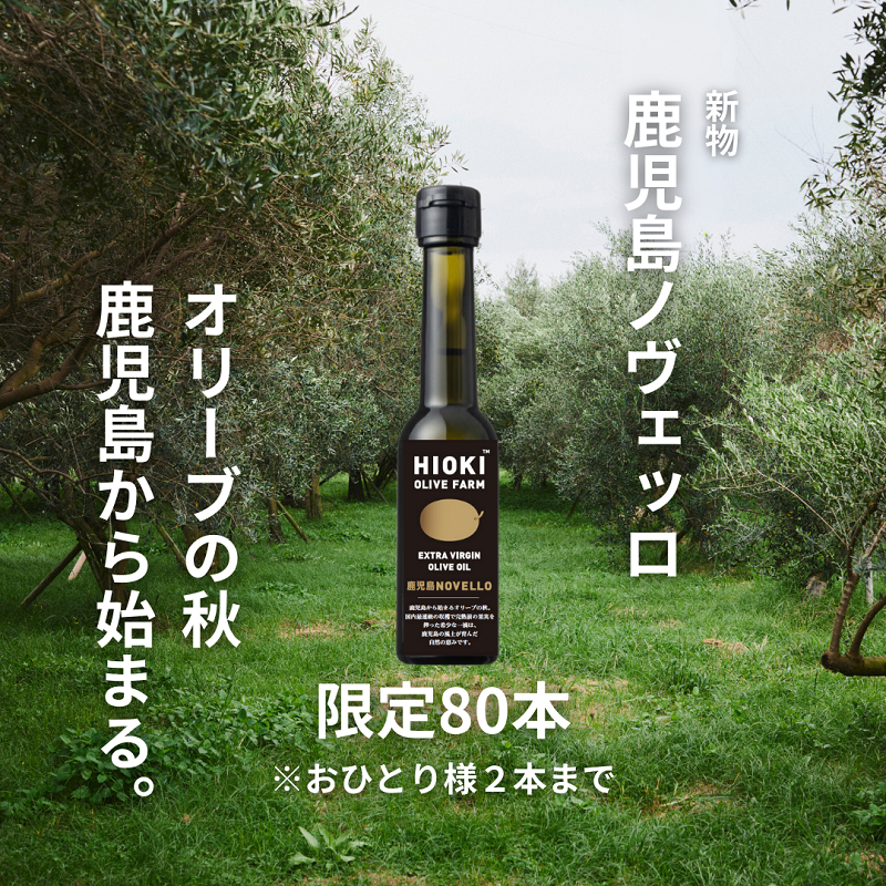 2024年 新物 鹿児島NOVELLO 【限定80本】で販売開始 | 【公式】鹿児島 