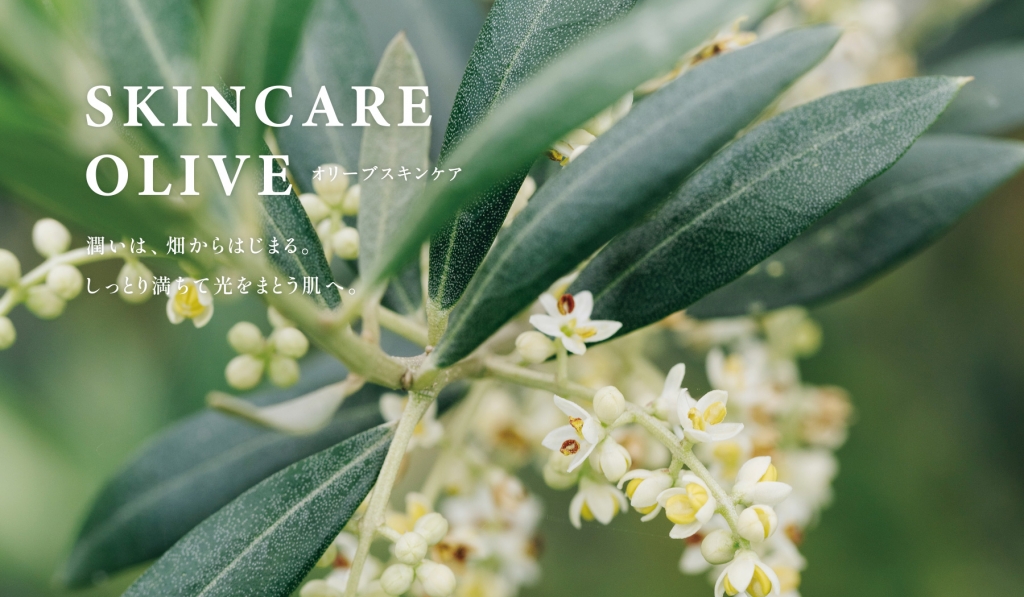 オリーブスキンケア　潤いは、畑からはじまる。しっとり満ちて光をまとう肌へ。