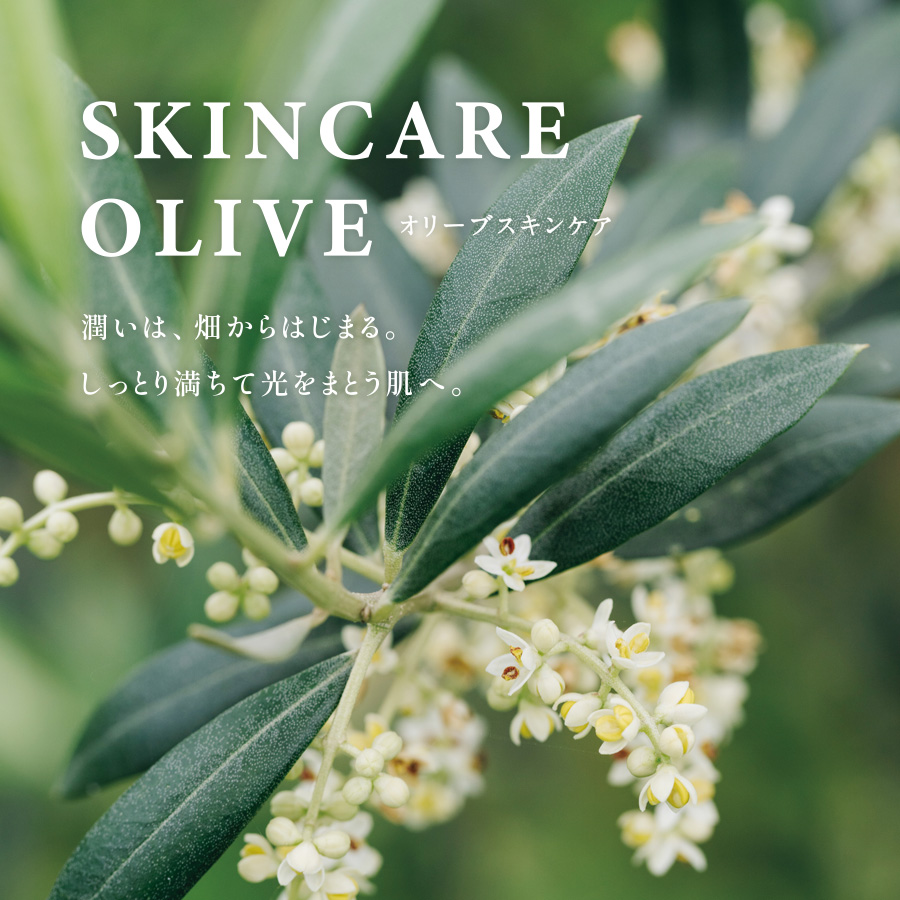 オリーブスキンケア　潤いは、畑からはじまる。しっとり満ちて光をまとう肌へ。