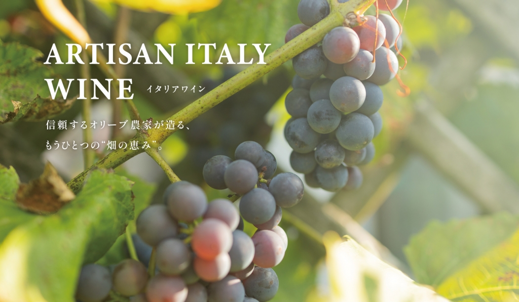 イタリアワイン　信頼するオリーブ農家が造る、もうひとつの“畑の恵み”。