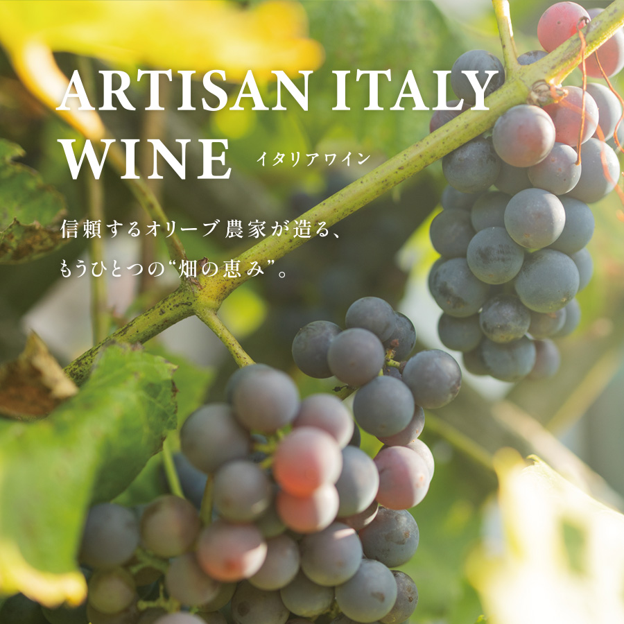 イタリアワイン　信頼するオリーブ農家が造る、もうひとつの“畑の恵み”。